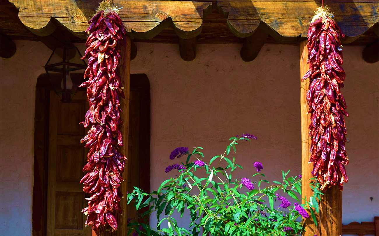 Santa fe nm homes